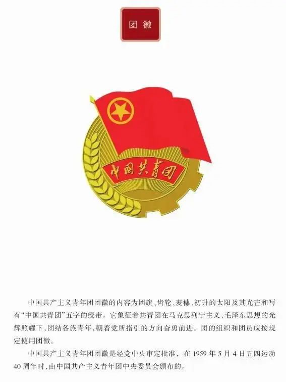 百年团史青年学第六期团徽的由来